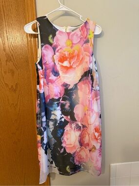 NWOT Vince Camuto Floral Chiffon Shift Dress Sleeveless Size 6